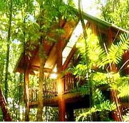 The Canopy Treehouses - Kempsey Accommodation