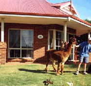 Brilea Cottages - Kempsey Accommodation