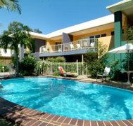 Noosa River Palms