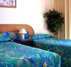 International Beach Resort - Kempsey Accommodation