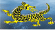 Dragon Phoenix Motel amp Restuarant - Kempsey Accommodation