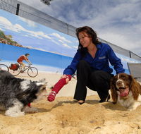 Hanrob Pet Hotels - Kempsey Accommodation