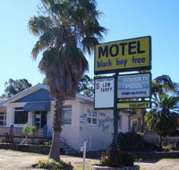 Blackboy Tree Motel - Kempsey Accommodation