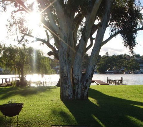 Eleven From The Left - Kempsey Accommodation 1