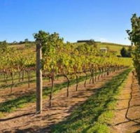 DeVine Escape - Kempsey Accommodation