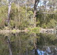 Sanctuary House Resort Motel - Healesville - Kempsey Accommodation 5