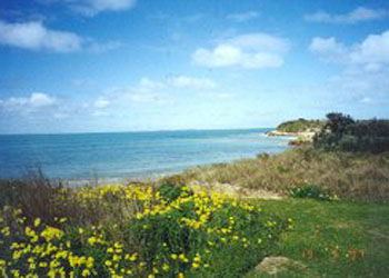 St Andrews Boulevard Apartments - Kempsey Accommodation 1