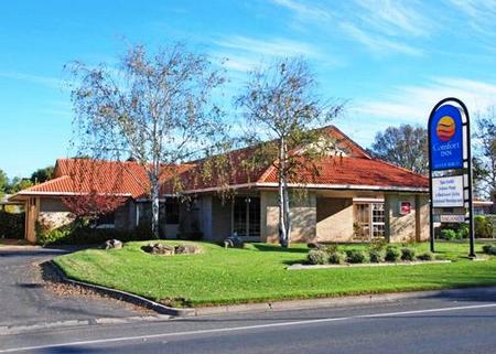 Comfort Inn Silver Birch - Kempsey Accommodation 0