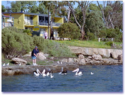 Almonta Holiday Apartments - Kempsey Accommodation 0