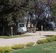 Paringa Caravan Park - Kempsey Accommodation