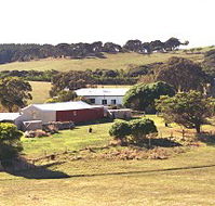 Sun Valley Eco Farm - Kempsey Accommodation