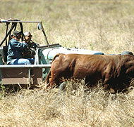 Bullo River Station - Kempsey Accommodation