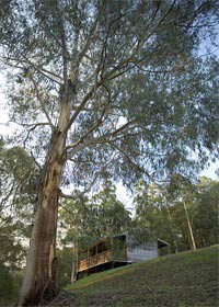Ada VIC Kempsey Accommodation