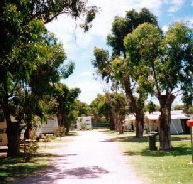 Bathers Paradise Caravan Park - Kempsey Accommodation
