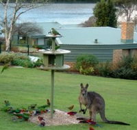 Gipsy Point Lakeside - Kempsey Accommodation