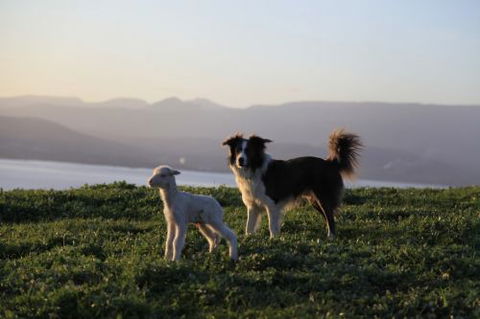 Bruny Island Guest House - Kempsey Accommodation 5