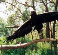 Curlew Hill Sanctuary - Kempsey Accommodation