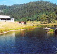 Millybrook Lodge - Kempsey Accommodation