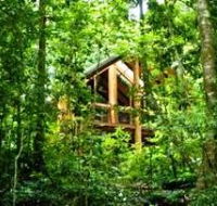 Fur'N'Feathers Rainforest Tree Houses - Kempsey Accommodation