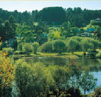 Possum Cottage On The Lake - Kempsey Accommodation
