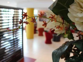 Ibis Newcastle - Kempsey Accommodation 24