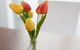 Easystay Apartments Raglan Street - thumb 11