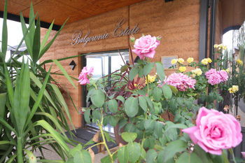 Balgownie Estate Vineyard & Spa - Kempsey Accommodation 2