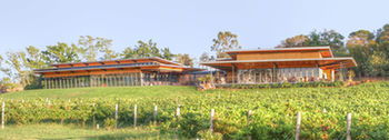 Balgownie Estate Vineyard & Spa - Kempsey Accommodation 5