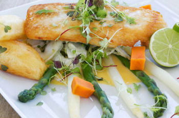Caves Beachside Hotel - Kempsey Accommodation 14