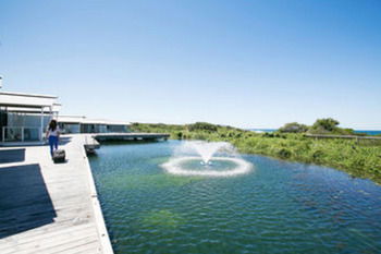 Caves Beachside Hotel - Kempsey Accommodation 42