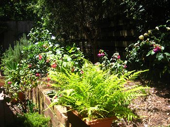 Bungunyah Apartments - Kempsey Accommodation 1
