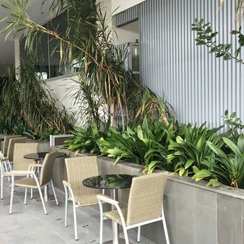 Best Western Premier Hotel 115 Kew - Kempsey Accommodation 22