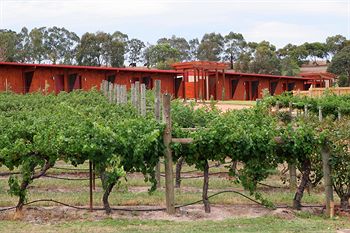 De'Vine Escape - Kempsey Accommodation 4