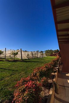 De'Vine Escape - Kempsey Accommodation 5