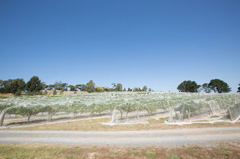De'Vine Escape - Kempsey Accommodation 12