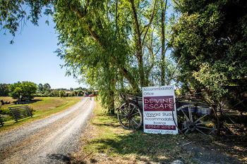 De'Vine Escape - Kempsey Accommodation 22