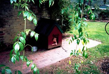 Kurrajong Trails And Cottages - Kempsey Accommodation 2