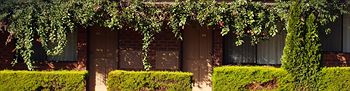 Nunawading Motor Inn - Kempsey Accommodation 30
