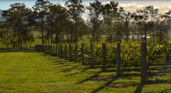 H Boutique Hotel - Kempsey Accommodation 34