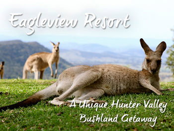 Eagleview Resort - Kempsey Accommodation 45