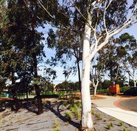 Box Hill Studios at Canterbury Gardens - Kempsey Accommodation