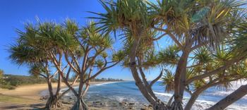 Alex Beach Cabins - Kempsey Accommodation 1