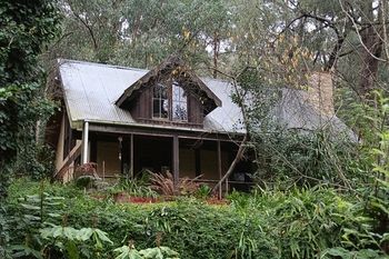 Steindorf Cottages - Kempsey Accommodation 14
