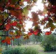 Elfin Hill Country Accommodation