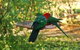 Glenview Retreat Luxury Bed & Breakfast - thumb 12