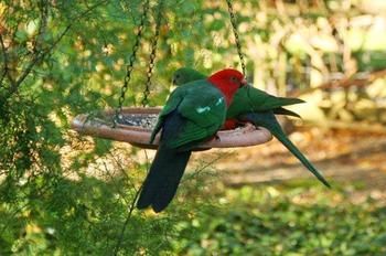 Glenview Retreat Luxury Bed & Breakfast - Kempsey Accommodation 12