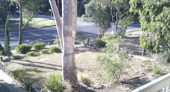 Eltham Retreat - Kempsey Accommodation 4