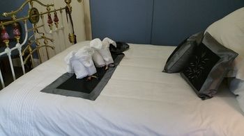 Coppers Hill Private Accommodation - Kempsey Accommodation 23
