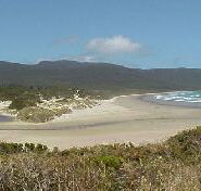 Cloudy Bay Cabin - Kempsey Accommodation