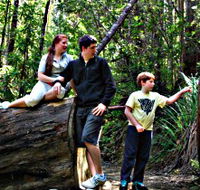 Tahune Airwalk Lodge - Kempsey Accommodation
